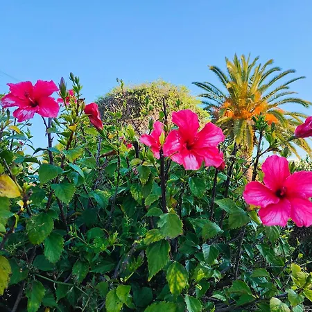 Nuralux - Vistas Espectaculares, Piscina Privada Y Bbq Vila Sant Climent