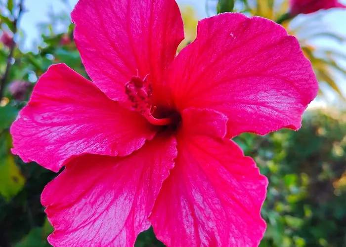 Nuralux - Vistas Espectaculares, Piscina Privada Y Bbq * Sant Climent