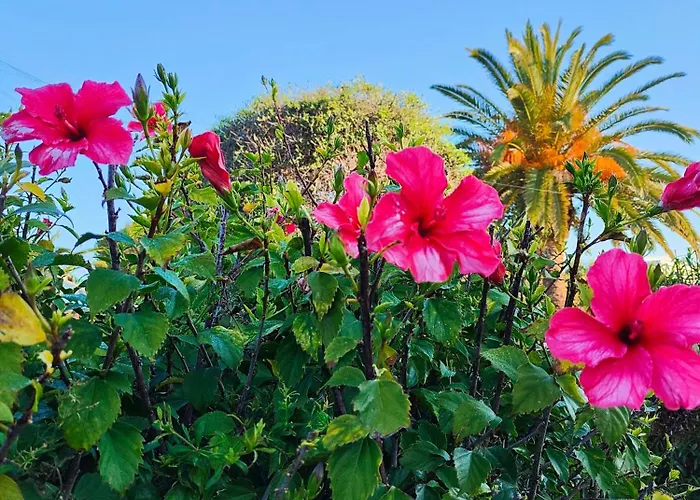 Nuralux - Vistas Espectaculares, Piscina Privada Y Bbq Vila Sant Climent