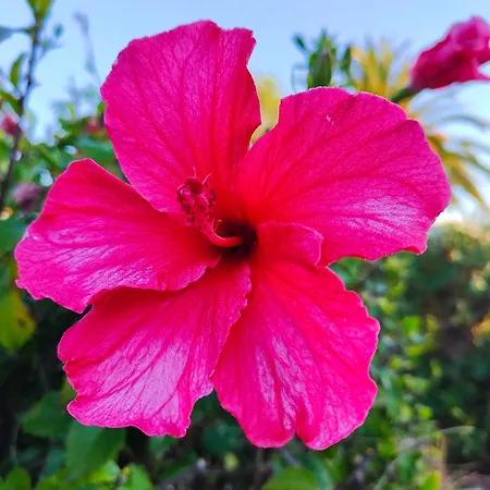 Nuralux - Vistas Espectaculares, Piscina Privada Y Bbq * Sant Climent